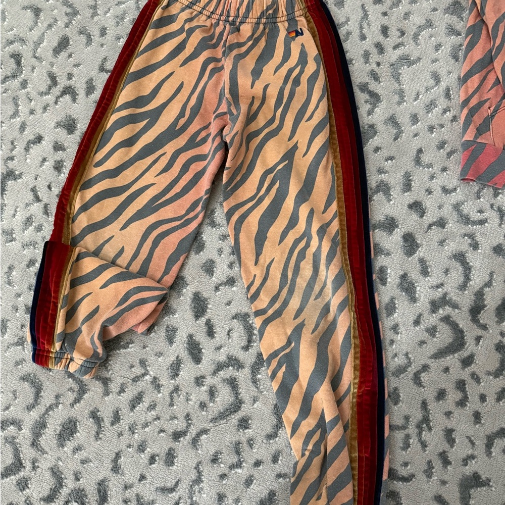 Aviator Nation Unisex Orange Zebra Stripe Joggers (12)